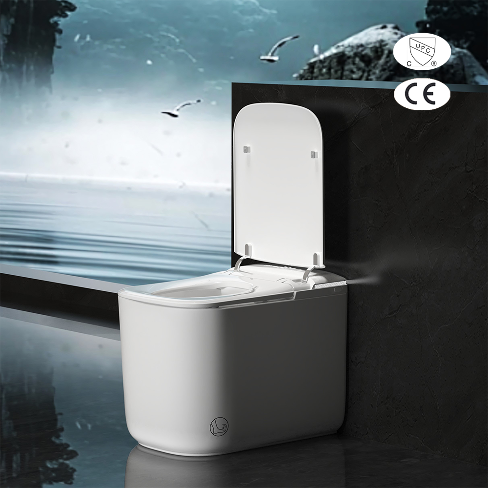 Floor-Mounted Smart Toilets